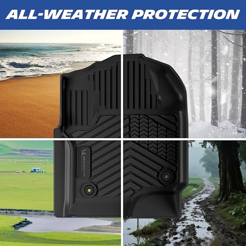 Vehicle Mats for 2017