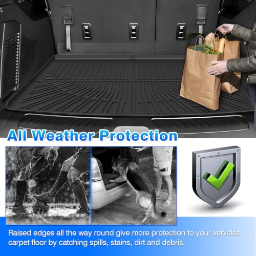 Floor Mats for 2021