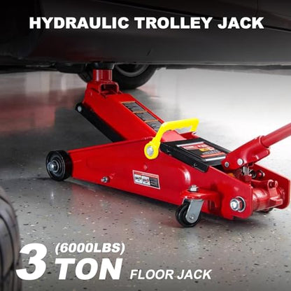 T83006 Torin Hydraulic Trolley Service