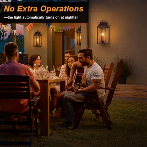 22IN Dusk to Dawn Outdoor Light Fixture