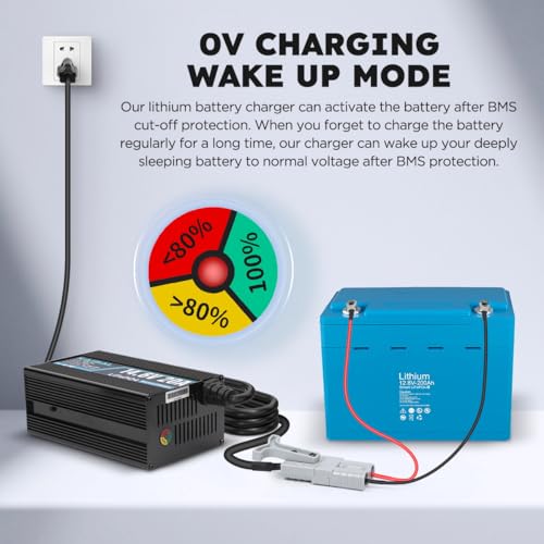 12V 20A Lithium Battery Charger 14.6V LiFePO4 Battery Charger for 12.8V LiFePO4 Lithium Deep Cycle Rechargeable Battery 0V Wake Up 12 Volt Charger with 3 Connectors for RV