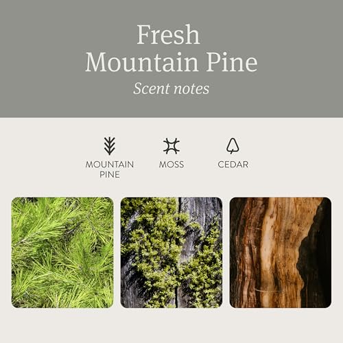 Car Air Freshener (8.7832 Ounce)