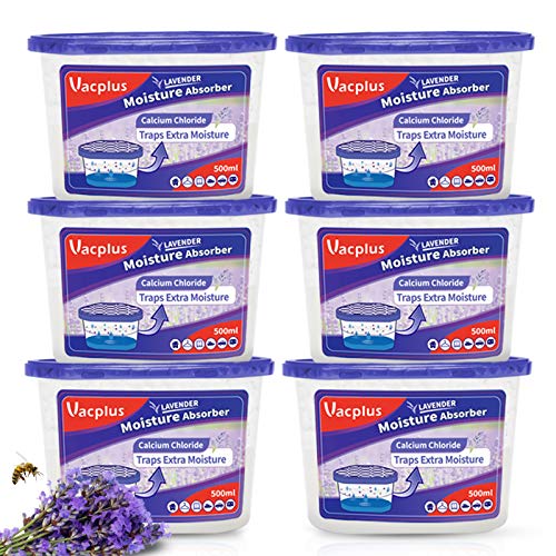 Moisture Absorber (6 Count)