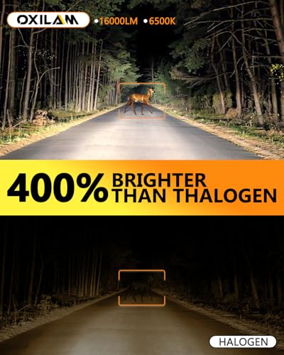 9006 Fog Light Bulbs (2 Count)