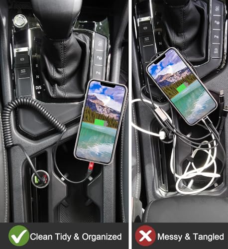 Coiled Lightning Cable (2 Count)