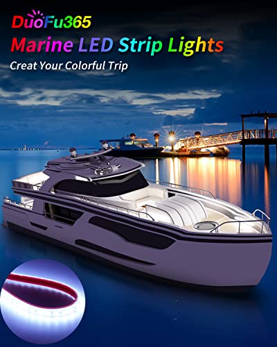 12V Led Strip Light (4 Count)