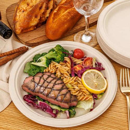 Paper Plates 10 Inch 125 (125 Count)