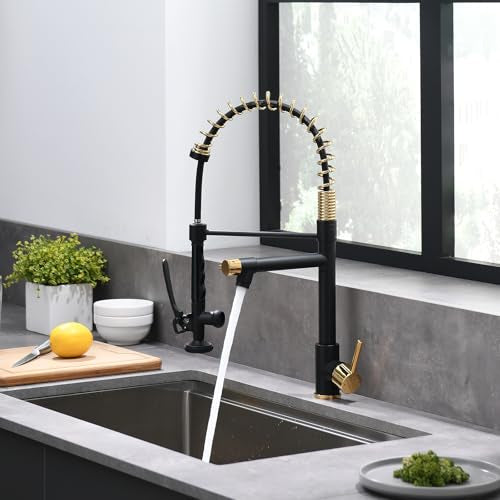 Black&Gold Kitchen Faucet with Sprayer