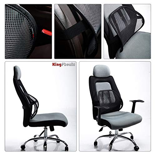 2 Pack Mesh Lumbar Support for Car and Office Chair Comfort (2 Count)