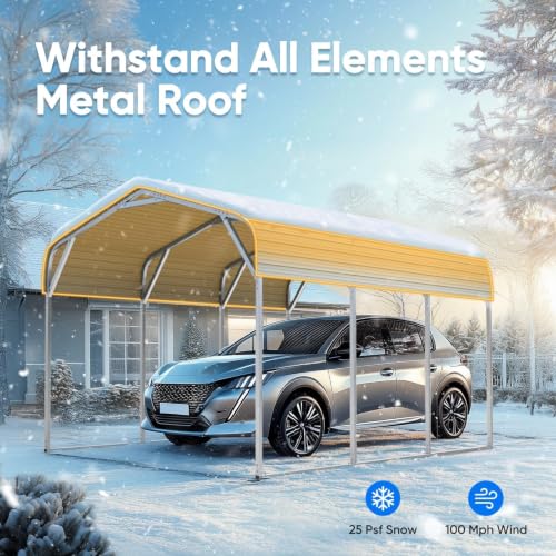 10x15 FT Heavy Duty Metal Carport