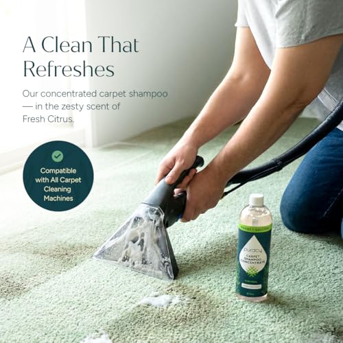 Carpet Cleaner Solution (25 Fl Oz)