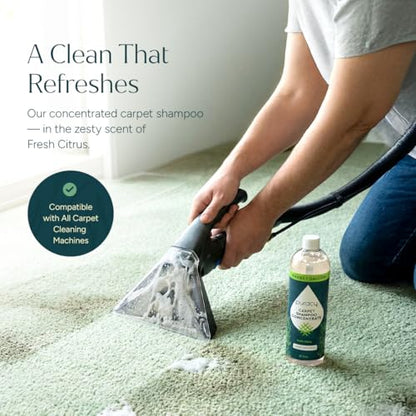 Carpet Cleaner Solution (25 Fl Oz)