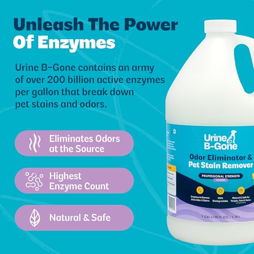 Urine B Gone Enzyme Cleaner for Human (128 Fl Oz)