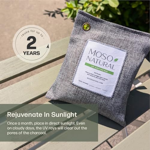 Air Purifying Bag 200g