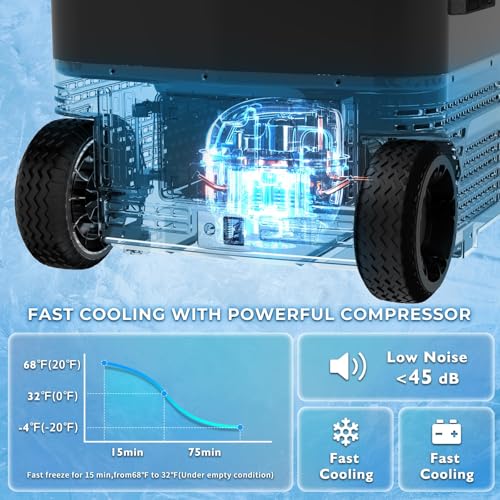 58QT Car Refrigerator 12