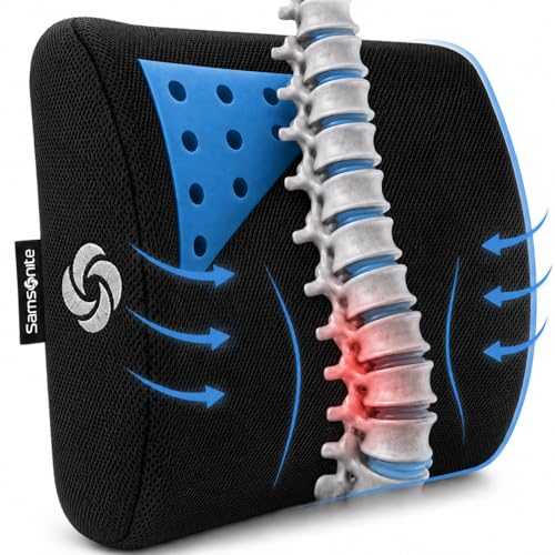 Memory Foam Lumbar Support Pillow for Office Chair