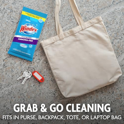 Wipes Glass Cleaning Ammonia Free (25 Count)