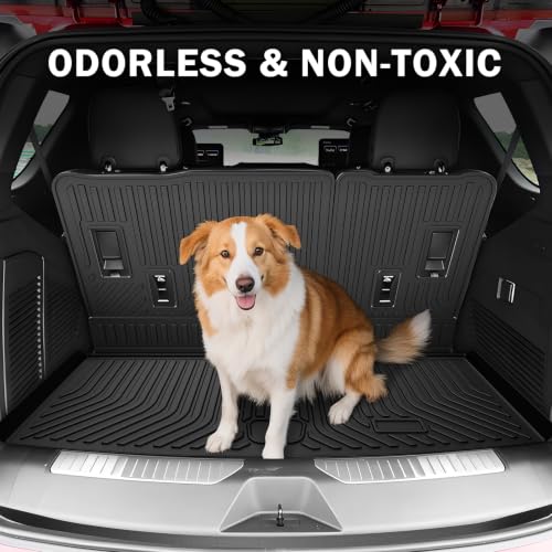 Floor Mats for 2021 (13 Count)