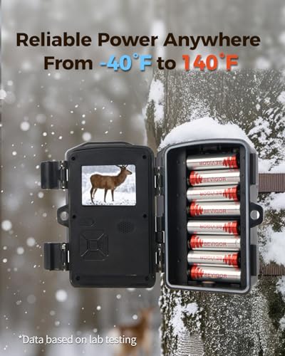 Lithium Batteries AA Size 8 Pack (8 Count)