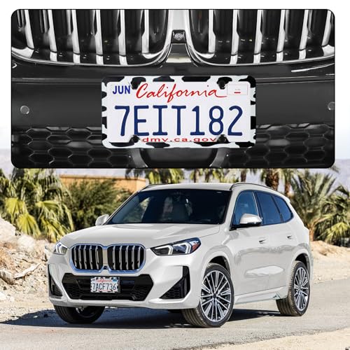 4 Holes Stainless Steel License Plate Frames
