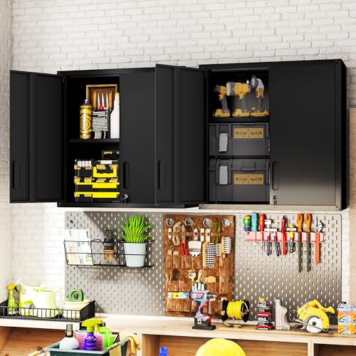 Garage Wall Cabinet