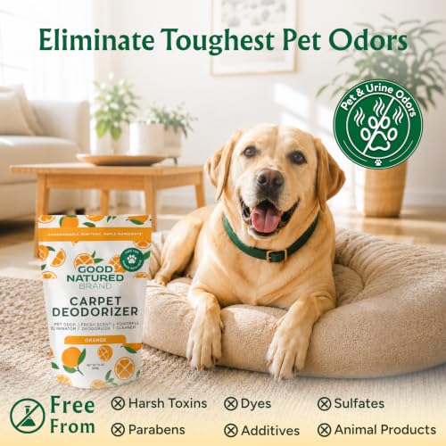 Carpet Deodorizer & Pet Odor Eliminator Powder (31 Ounce)