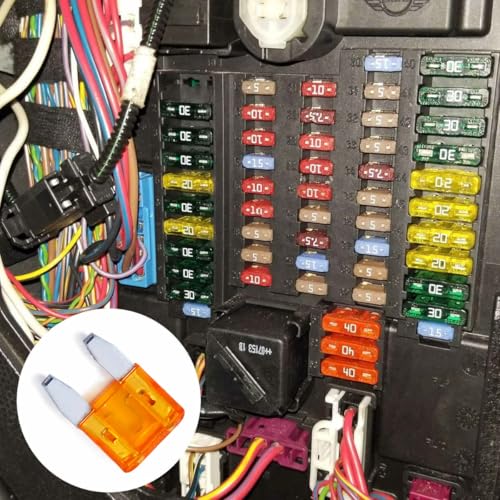100 Pack Auto Fuses 5 AMP APM (100 Count)