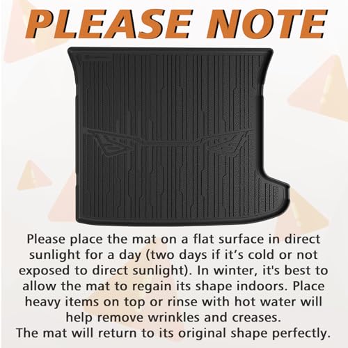 Trunk Mat for 2025