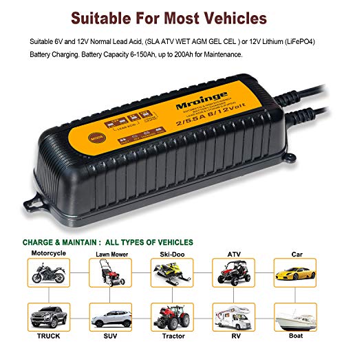Smart Battery Charger