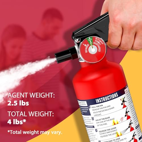 Signature ABC Fire Extinguisher for Home (40 Ounce)