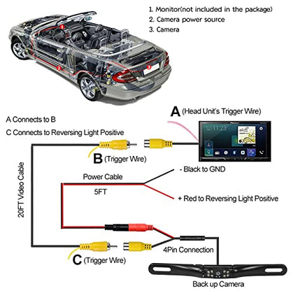 License Plate Backup Camera