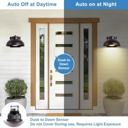 LED Outdoor Wall Lights (2 Count)