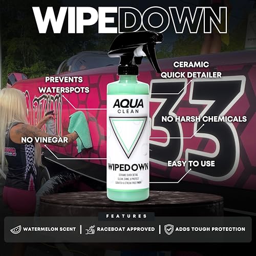 WIPEDOWN Ceramic Quick Detailer Spray & Waterless Wash (16.9 Fl Oz)