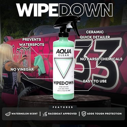 WIPEDOWN Ceramic Quick Detailer Spray & Waterless Wash (16.9 Fl Oz)