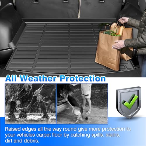 Blazer Floor Mats