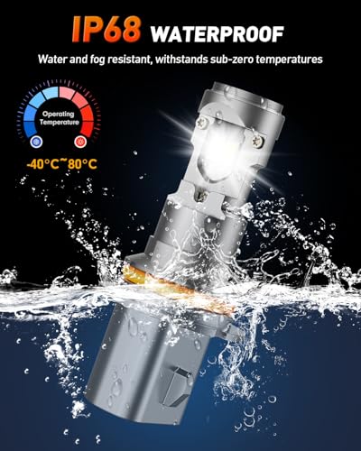 H4 Fog Light Bulbs