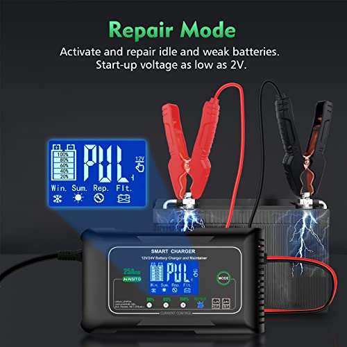 25 Amp Lithium Battery Charger