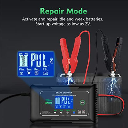 25 Amp Lithium Battery Charger
