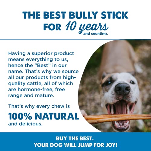 12 Inch Bully Sticks for Dogs (50 Count)