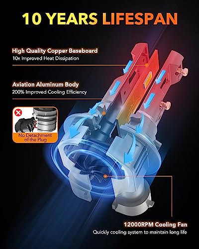 Q36 9005 9006 Bulbs Combo (4 Count)