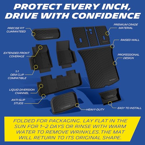 Vehicle Mat for 2025