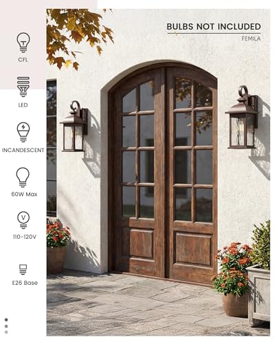 Outdoor Wall Light Fixture