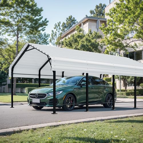 12x20 FT Metal Carport