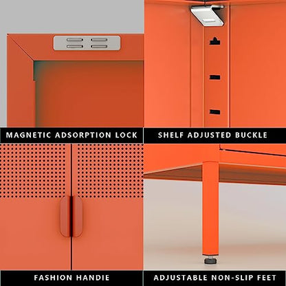 2 Mesh Door Metal Cabinet with Adjustable Shelves