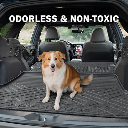 Floor Mats for 2020 (6 Count)