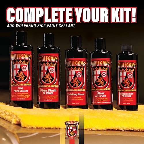 SiO2 Paint Sealant (16 fluid-oz)