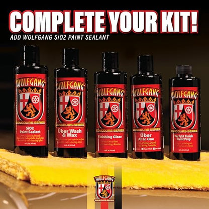 SiO2 Paint Sealant (16 fluid-oz)