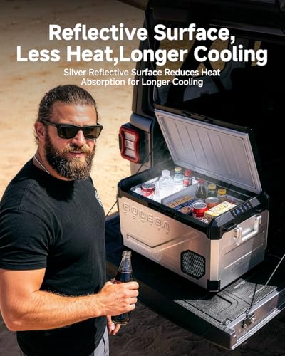 12V Car Refrigerator