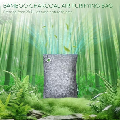 Activated Charcoal Odor Absorber