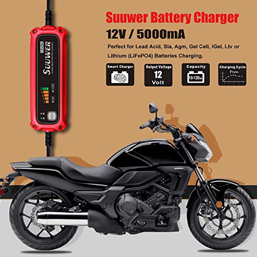 Automatic Battery Charger